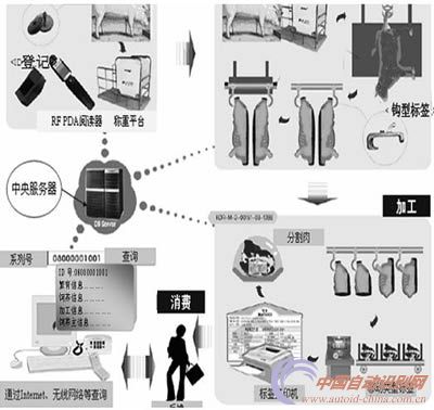 射頻識別管理系統(tǒng)在肉食品質(zhì)量安全追溯中的應(yīng)用